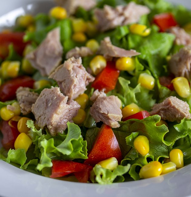 Salata s tunom